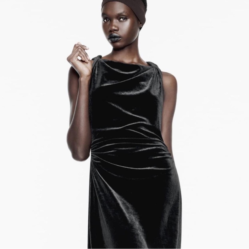 BNWT Zara Velvet Midi Dress